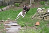 Enlarge photo 4