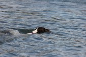 Enlarge photo 40