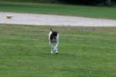 Enlarge photo 42