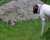 Enlarge photo 47