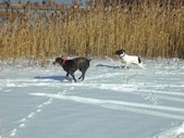 Enlarge photo 43