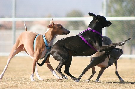 Enlarge photo 24