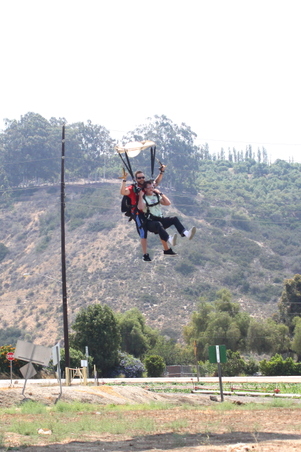 Enlarge photo 383