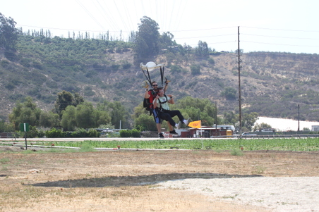 Enlarge photo 384