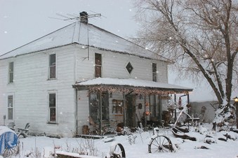 Flora School