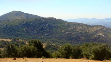 Enlarge photo 7