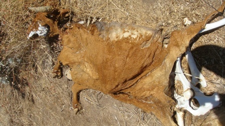 Enlarge photo 29