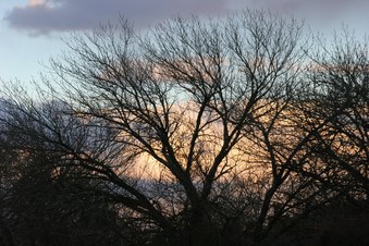 Enlarge photo 14