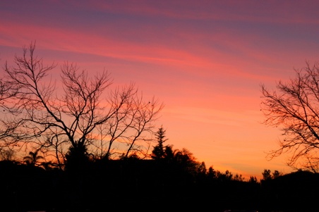 Enlarge photo 42