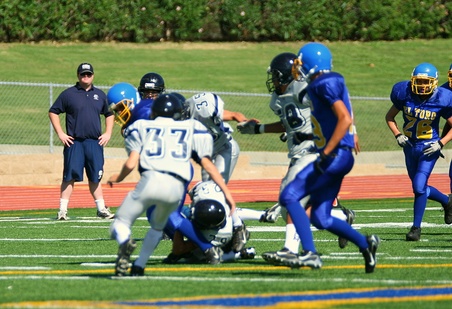 Enlarge photo 14