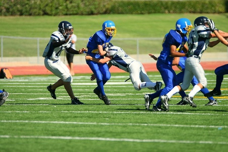 Enlarge photo 22