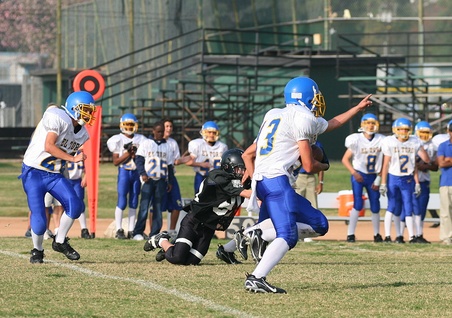Enlarge photo 47