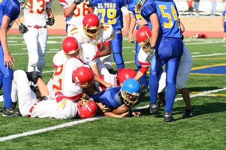 Enlarge photo 26