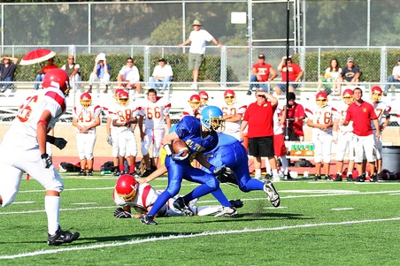 Enlarge photo 49