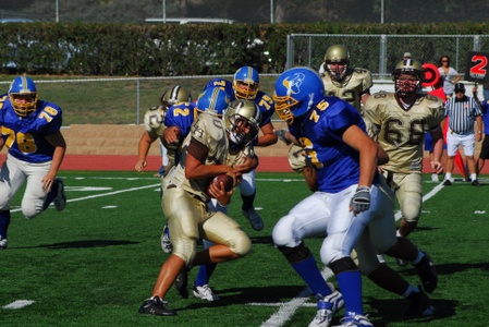 Enlarge photo 45