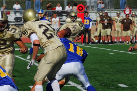 Enlarge photo 46
