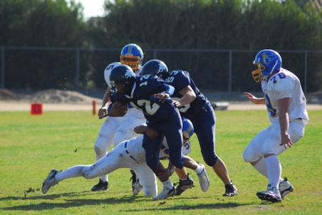 Enlarge photo 40