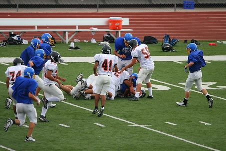 Enlarge photo 47