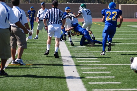 Enlarge photo 32