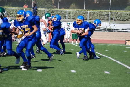Enlarge photo 48