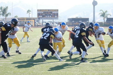 Enlarge photo 43
