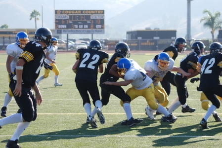 Enlarge photo 44