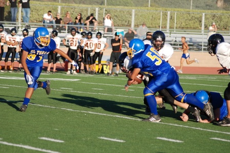 Enlarge photo 15