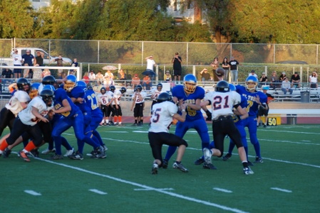 Enlarge photo 39