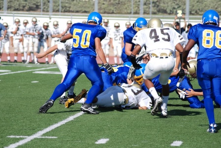 Enlarge photo 14