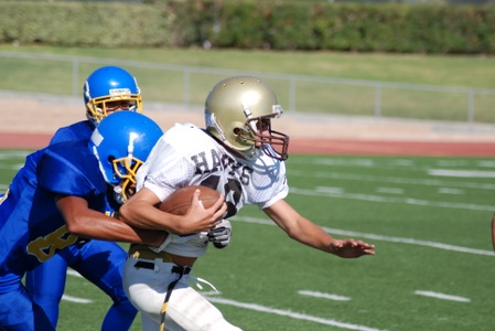 Enlarge photo 24