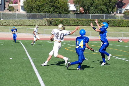 Enlarge photo 29