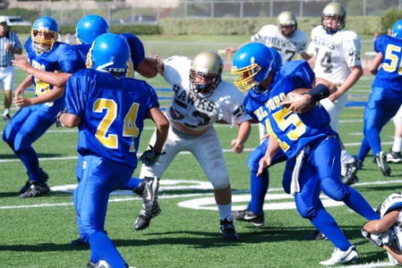 Enlarge photo 36