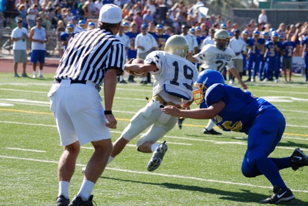 Enlarge photo 46