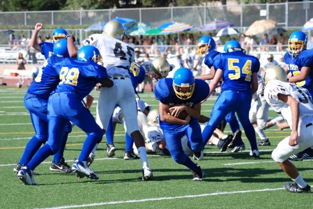 Enlarge photo 51