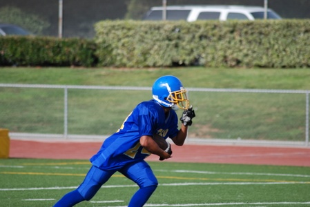 Enlarge photo 31
