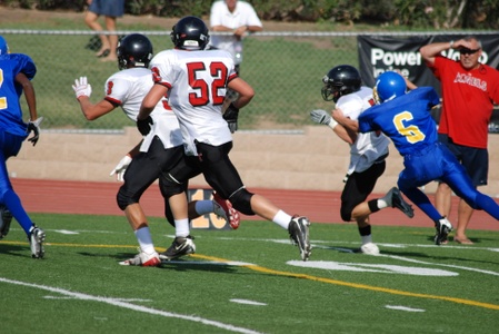 Enlarge photo 42