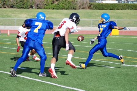 Enlarge photo 51