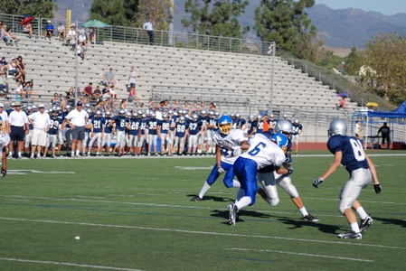 Enlarge photo 38