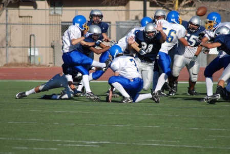 Enlarge photo 45