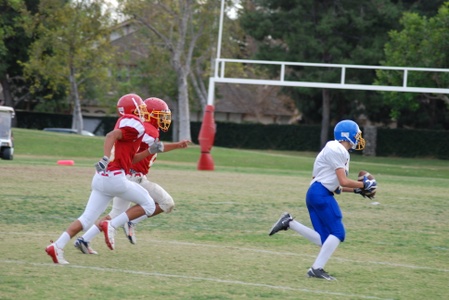 Enlarge photo 22