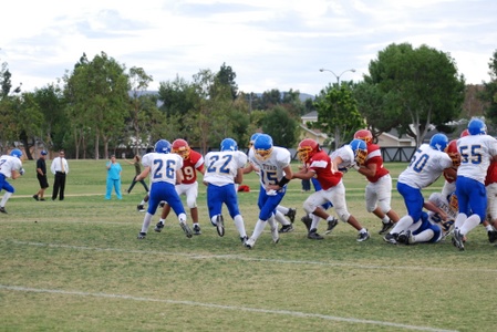 Enlarge photo 24