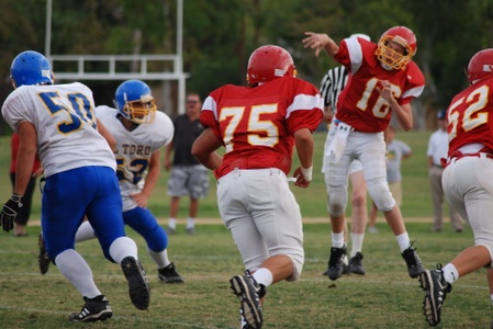 Enlarge photo 33