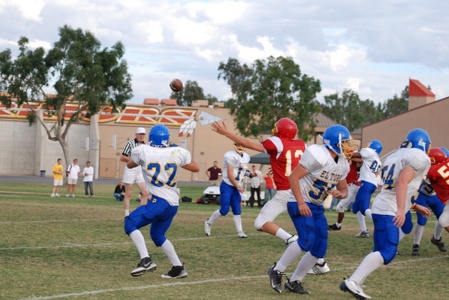 Enlarge photo 43