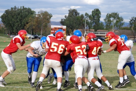 Enlarge photo 47