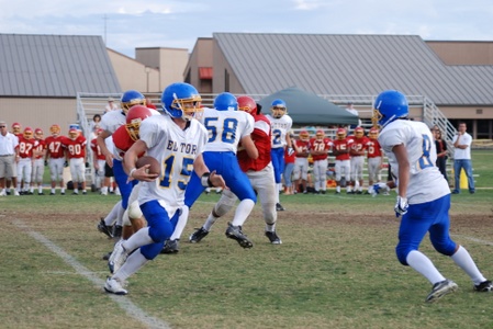 Enlarge photo 51