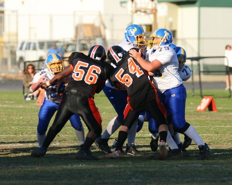 Enlarge photo 41