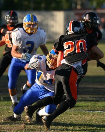 Enlarge photo 51