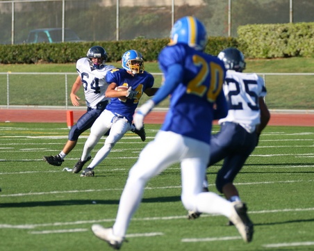 Enlarge photo 43