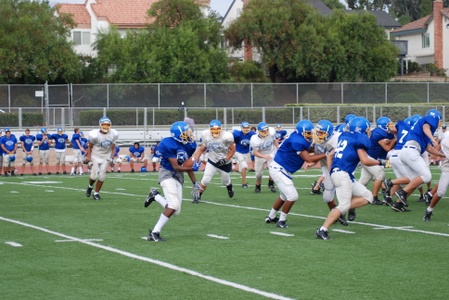 Enlarge photo 41