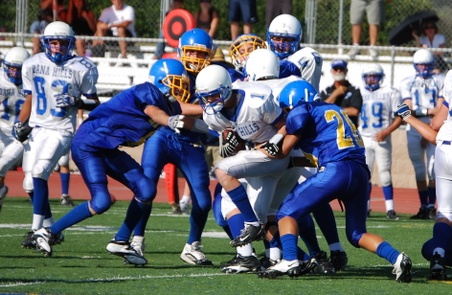 Enlarge photo 14